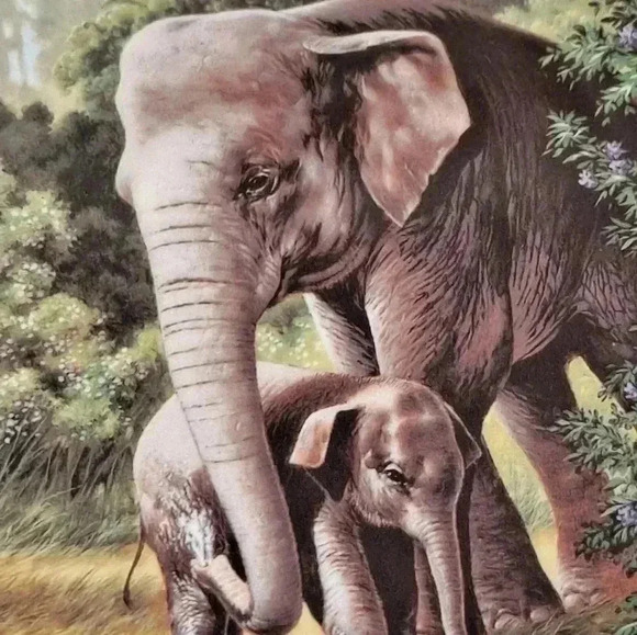 The Asian Elephant by Will Nelson collectors plate - Picture 3 of 6